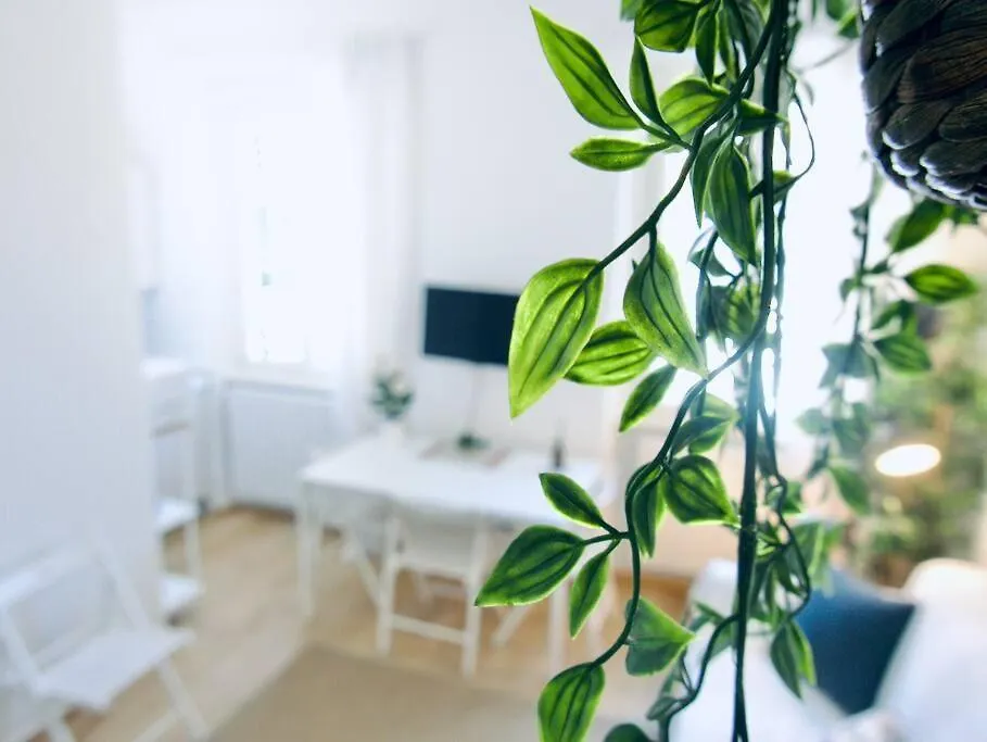 Bright Studio Flat In Oltrarno Firenze 0*,