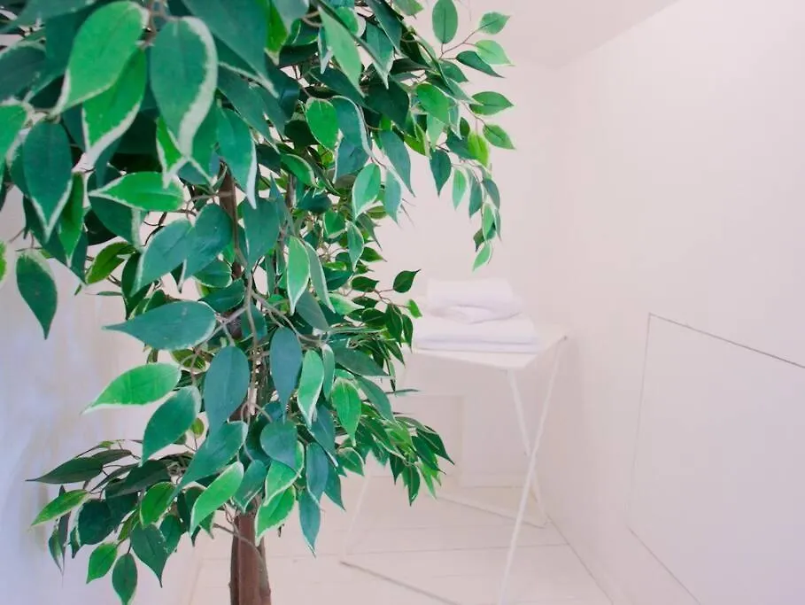 Bright Studio Flat In Oltrarno Firenze Italien
